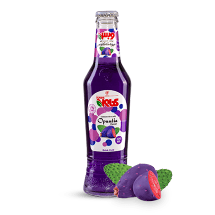KIDS Assorted Sparkling Fruit Drinks  250 ml Glass Bottle