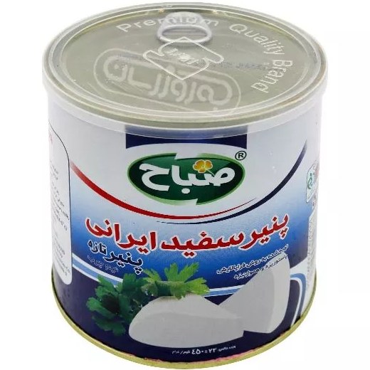 Canned Pasteurized and Homogenized Feta Cheese- (225,450,900 gr)- (4,8,16 Kg)