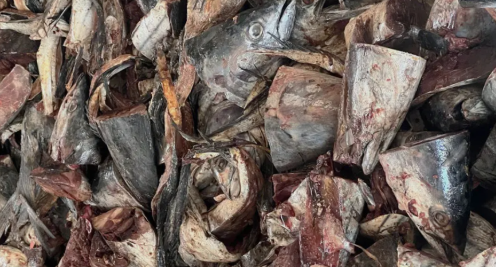 Southern fish meal