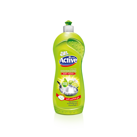 Active Dishwashing Liquid Silver Series 750gr
