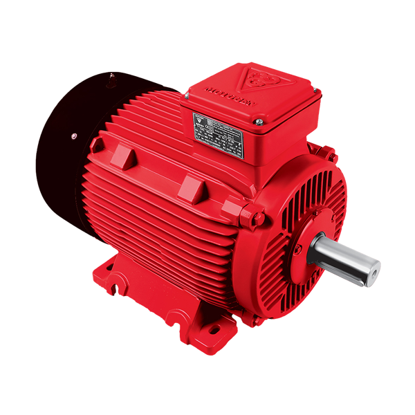 Single-speed three-phase induction electromotor with cast iron frame 200L4 30-1500 55H 380/660 Progressive