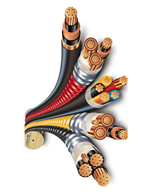 Flexible cable with a cross-section of 2x1