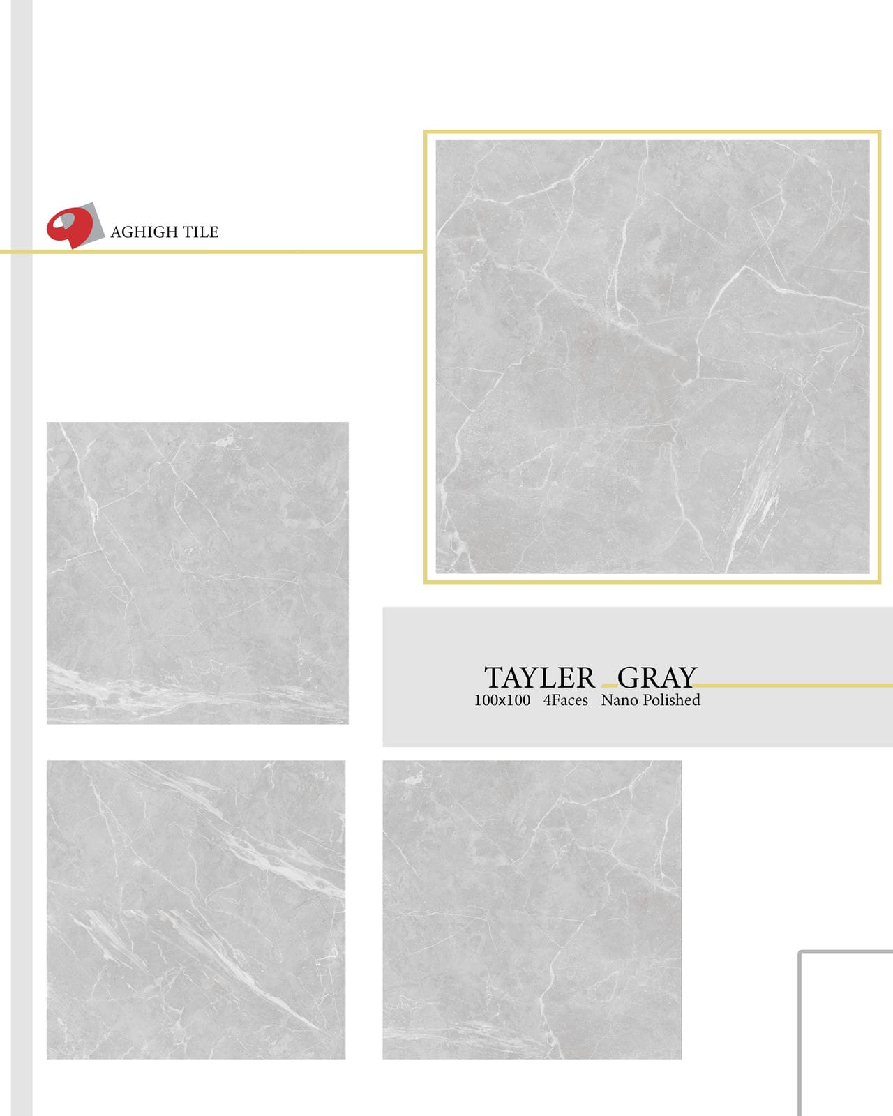 Gray Tayler Tile | 100x100