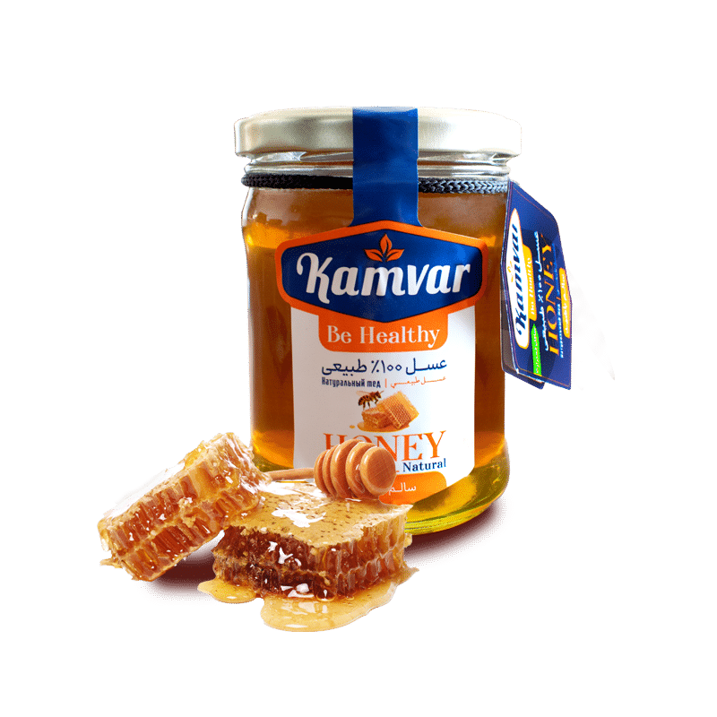Natural Honey  No Added Sugar (Be Healthy Series, Kamvar Brand)