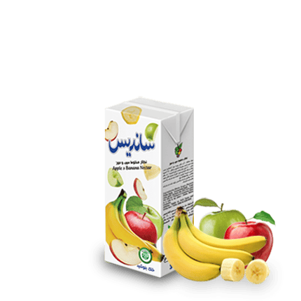 Sanariss Assorted Fruit Nectar 200 ml Tetra Pak