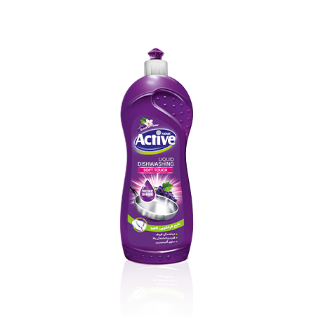 Active Dishwashing Liquid Silver Series 750gr