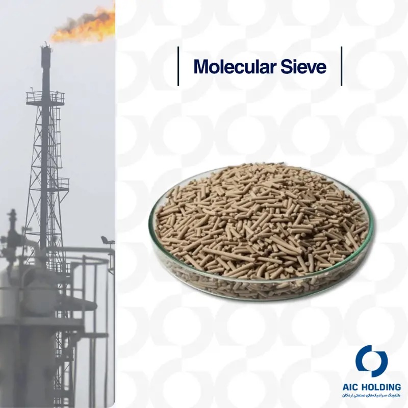 Molecular analysis