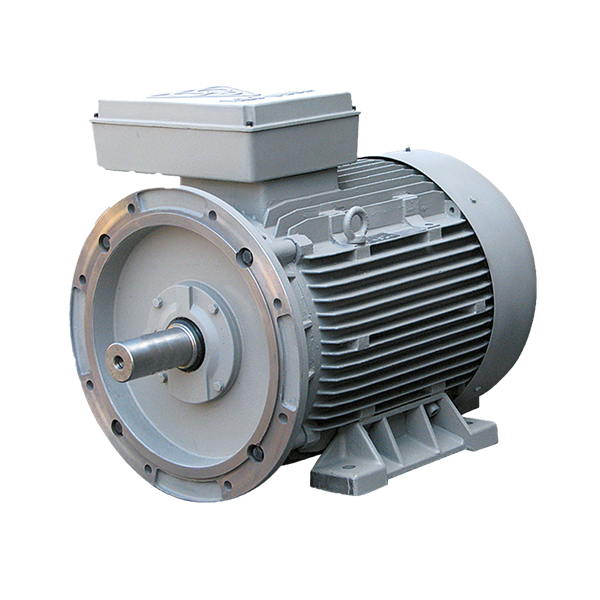 Single-speed three-phase induction electromotor with cast iron frame 315S4C 160-1500 55F 380/660 B35