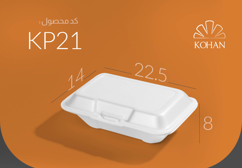 LUNCHBOX FOAM CONTAINER