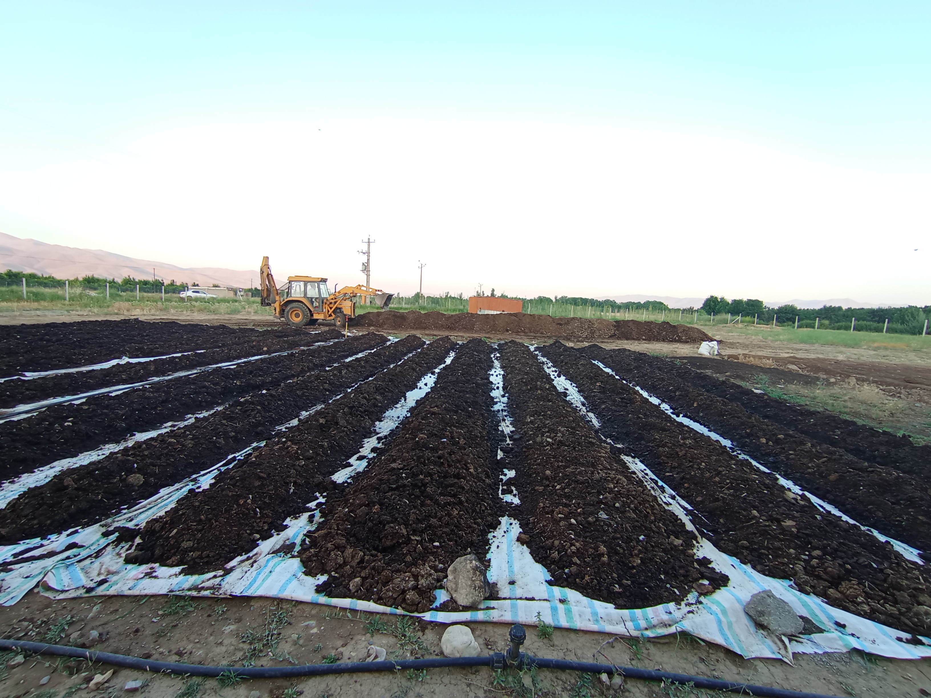 Premium Enriched Organic Vermicompost – High-Quality Organic Soil Conditioner & Natural Fertilizer