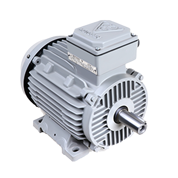 Electromotor three-phase induction single-speed cast iron frame 100L2A 3-3000 55F 220/380 cast iron