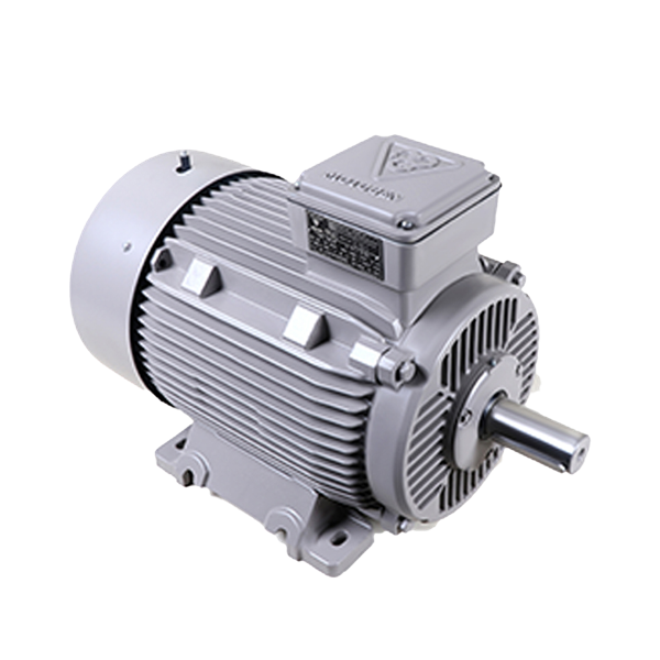 Single-speed three-phase induction electromotor with cast iron frame 225M2 45-3000 55F 380/660 InDu