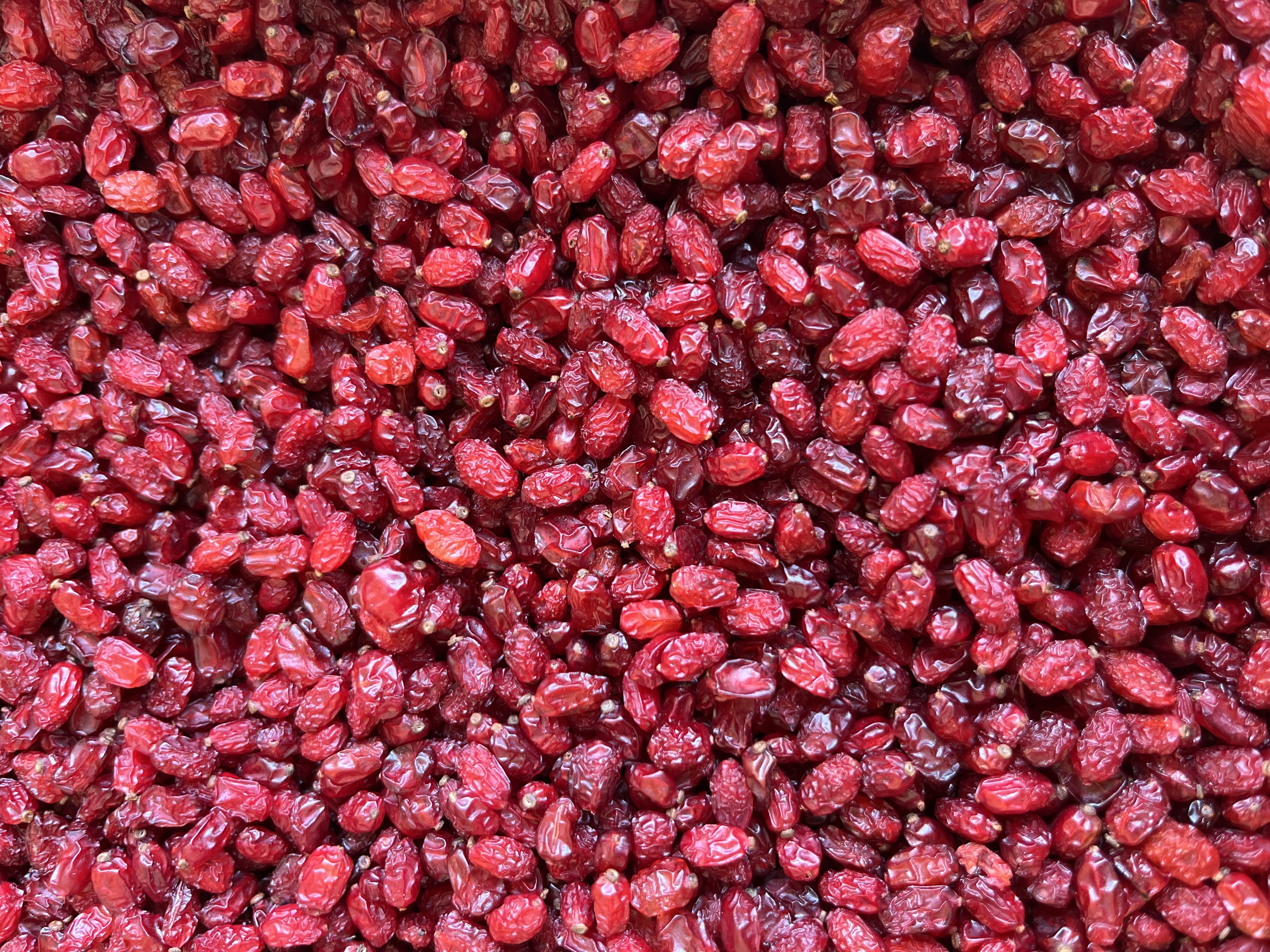 Premium Iranian Puffy Dried Barberries 10kg