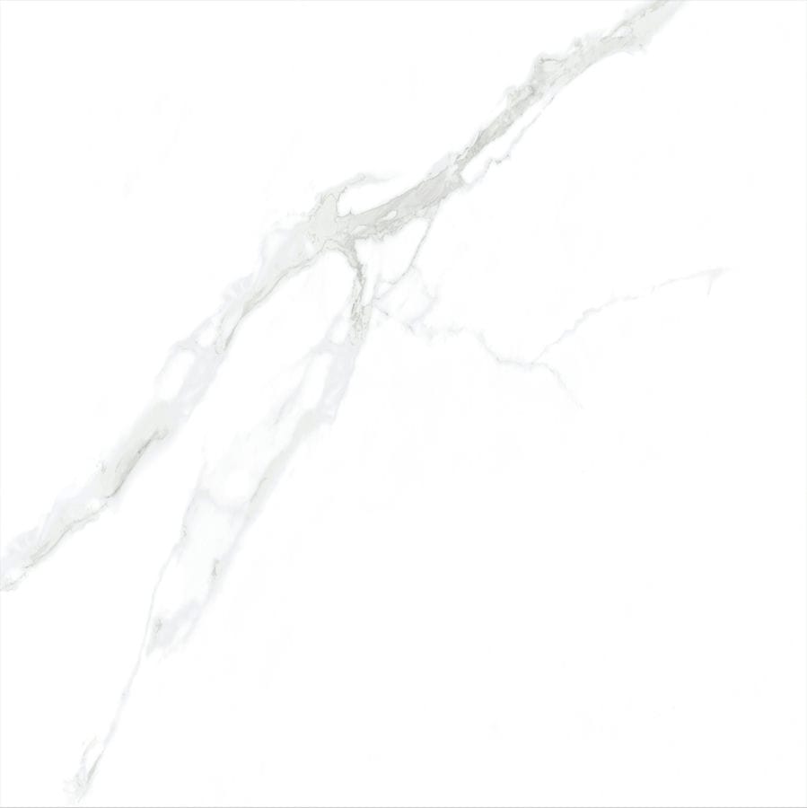 Gray Dikenz Tile | 100x100
