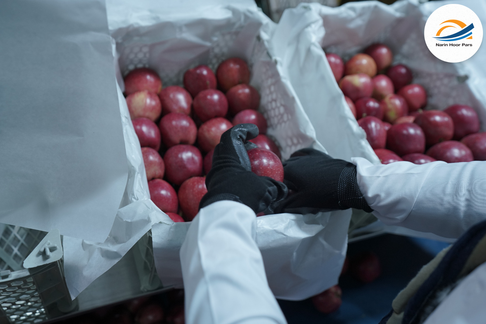 Fresh Red Apples