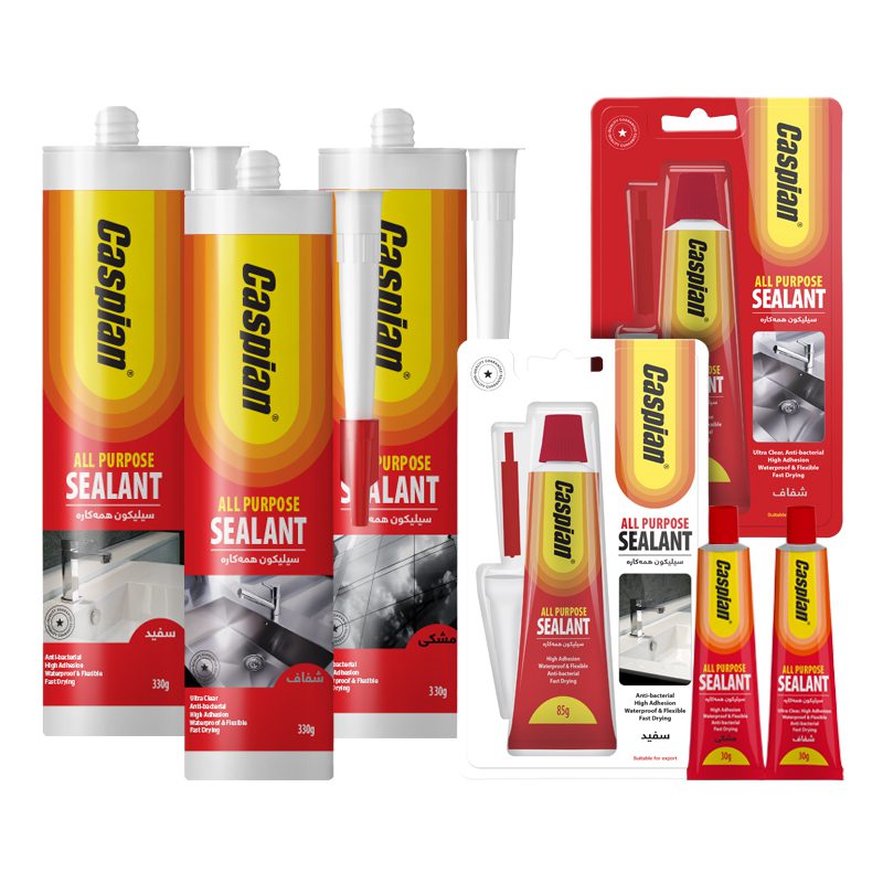 Caspian All-Purpose Silicone Sealant