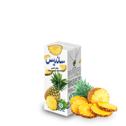 Sanariss Assorted Fruit Nectar 200 ml Tetra Pak