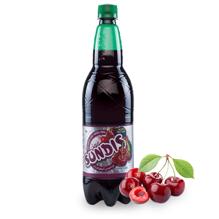 SUNDIS Assorted Sparkling Fruit Drinks 1 Liter PET Bottle