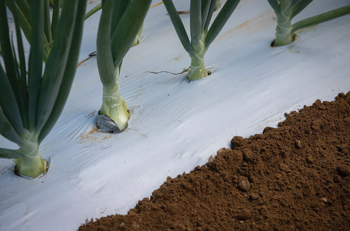 Cucurbits nylons -  Agricultural Greenhouse Nylon