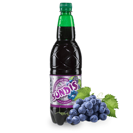 SUNDIS Assorted Sparkling Fruit Drinks 1 Liter PET Bottle