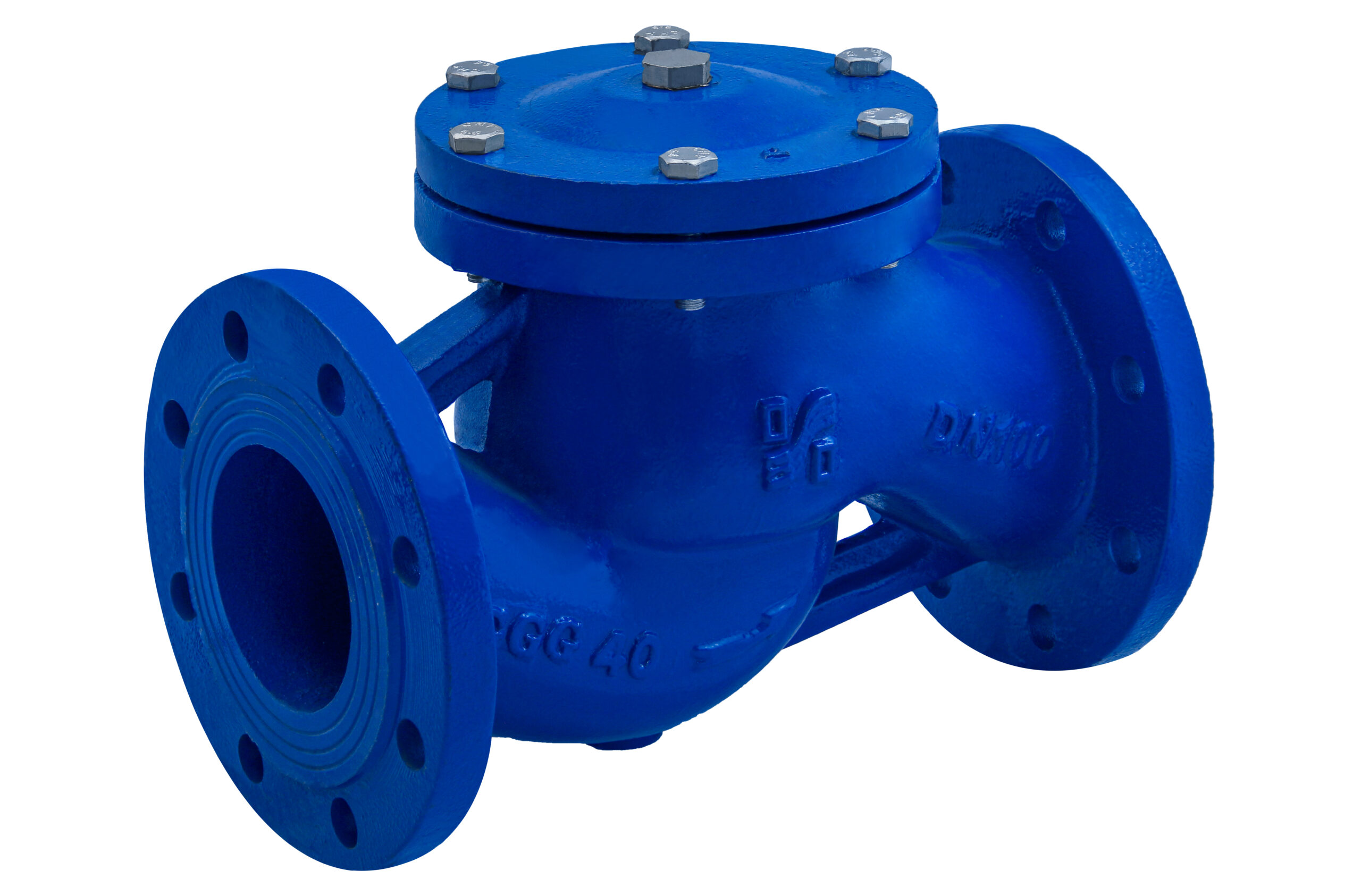 Valve steam filter