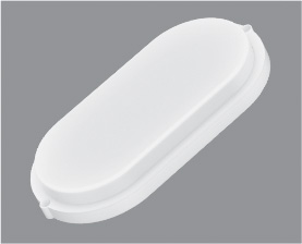 Oval Surface-Mounted Ceiling Light