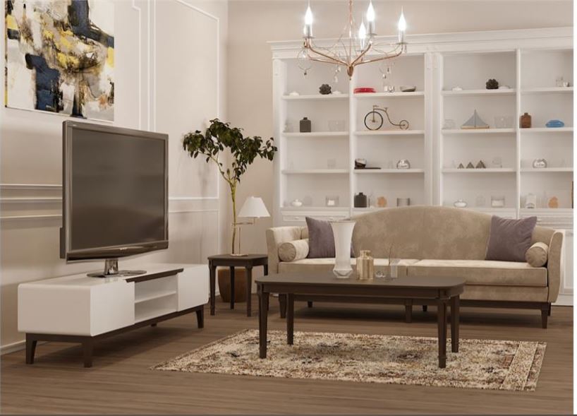 ZULA , Post-Modern Beech-Veneered TV Stand with Storage Compartment