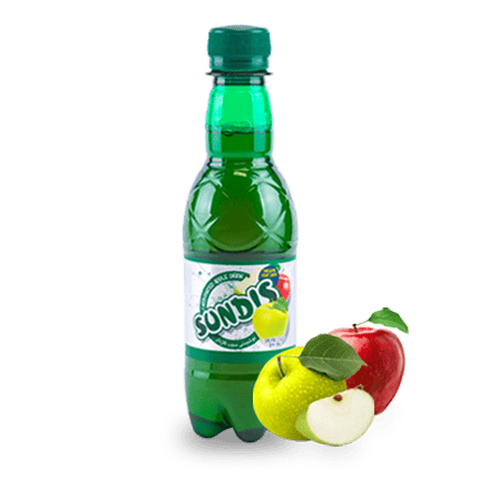 SUNDIS Assorted Sparkling Fruit Drinks  PET Bottle (Mini Size)