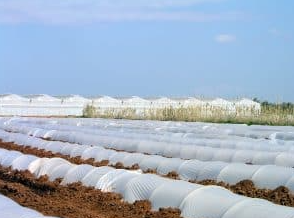 Agricultural nylon