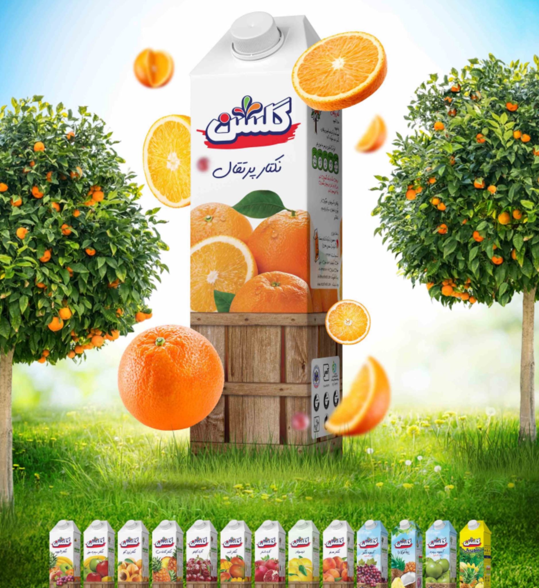 Orange Nectar Drink