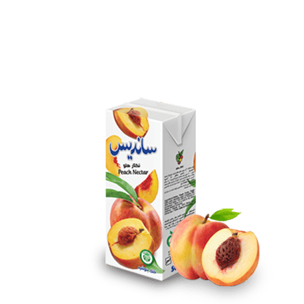 Sanariss Assorted Fruit Nectar 200 ml Tetra Pak