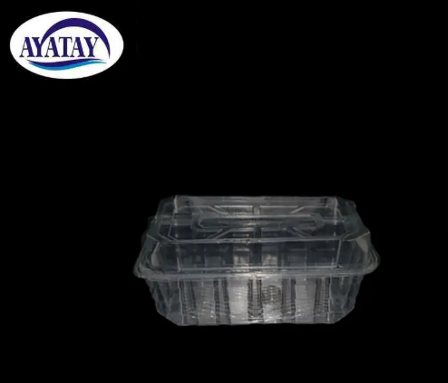 Disposable container 4000 cc with lid