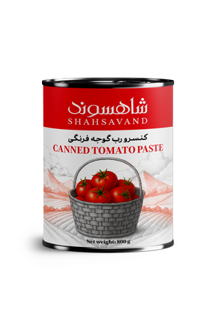 Easy-Open Canned Tomato Paste  800 g