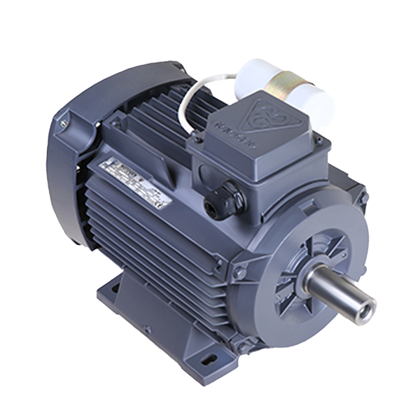 Single-speed single-phase induction electromotor with aluminum frame CR63M4A .12-1500 54F