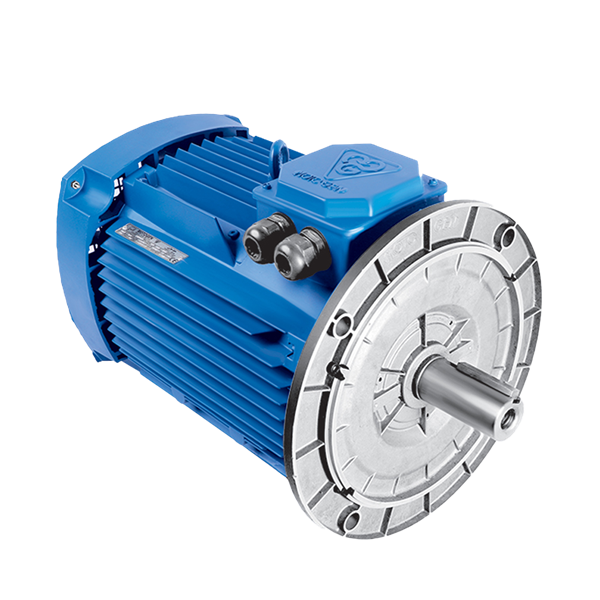 Three-phase induction electromotor, single-turn, aluminum frame90L6A 0.75-1000 54F 220/380 B5 