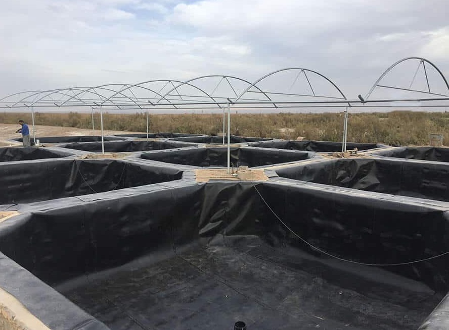 Pool Plastic Liner