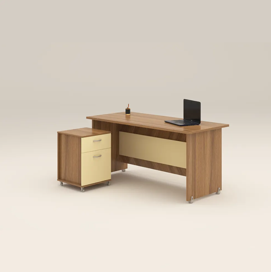 Executive Desk - Nasrin staff desk
