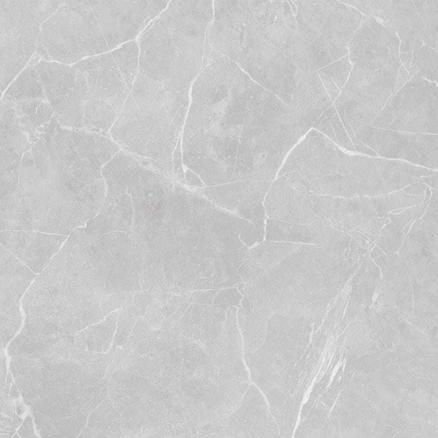 Gray Tayler Tile | 100x100