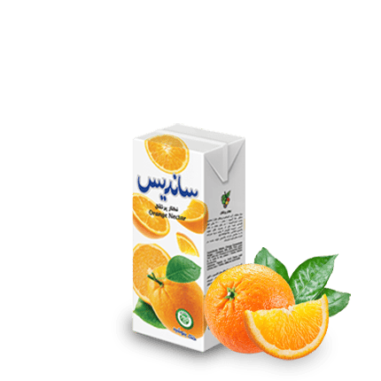 Sanariss Assorted Fruit Nectar 200 ml Tetra Pak