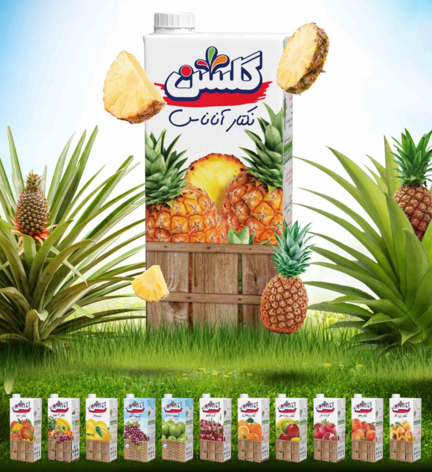 Golsun Pineapple Juice Drink (UHT)