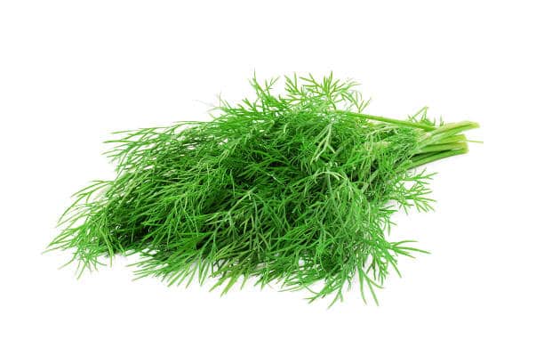 Frozen Sliced Spring Onion