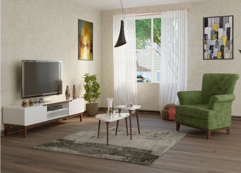 ZULA , Post-Modern Beech-Veneered TV Stand with Storage Compartment
