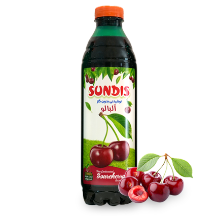 SUNDIS Assorted Fruit Juice Drinks  1 Liter PET Bottle