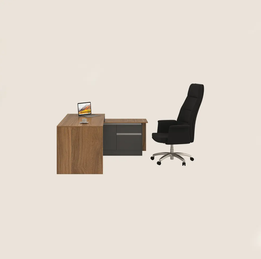 Admenstrive Desk - Taraaneh executive desk