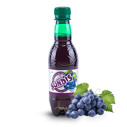 SUNDIS Assorted Sparkling Fruit Drinks  PET Bottle (Mini Size)