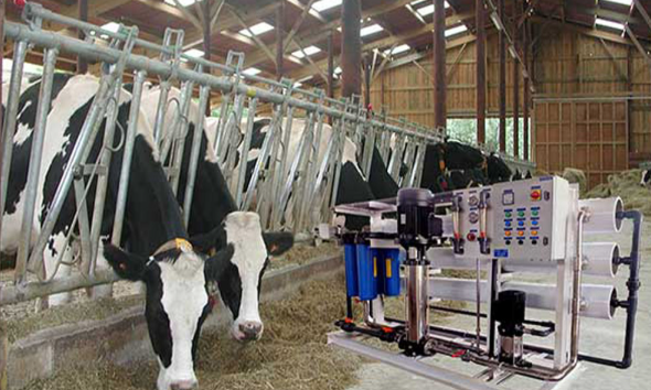 Livestock Water Desalination