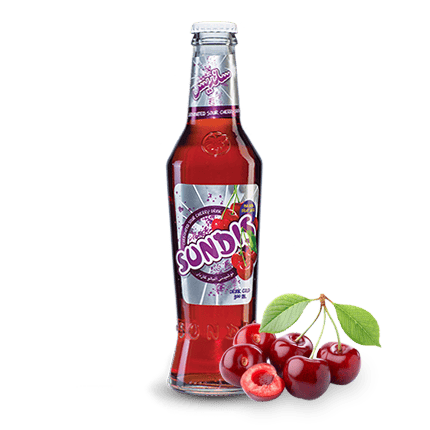 SUNDIS Assorted Sparkling Fruit Drinks 250 ml Glass Bottle