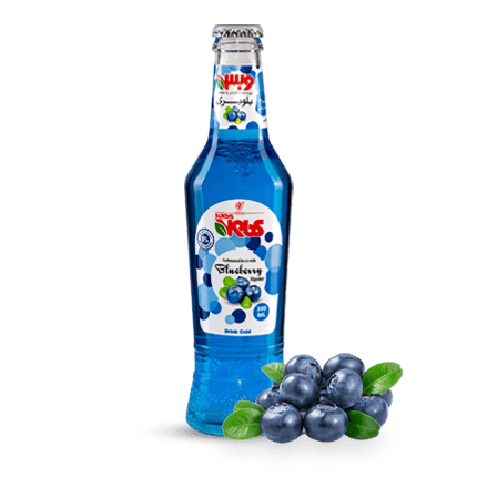 KIDS Assorted Sparkling Fruit Drinks  250 ml Glass Bottle