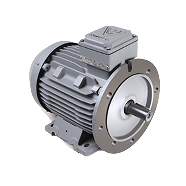 Single-speed three-phase induction electromotor with cast iron frame 100L4A- 2.2-1500 55F 220/380 B35cast iron