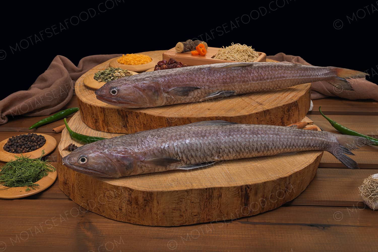 Frozan Ribbonfish